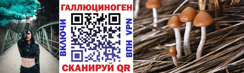 Псилоцибиновые грибы Psilocybine cubensis Невинномысск